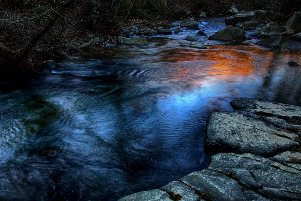  Sul fiume. Foreste Casentinesi.