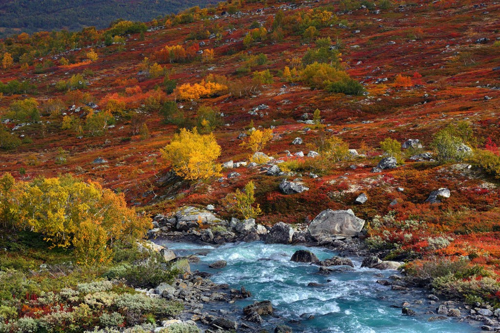  Norangsdal. Tundra in autunno.