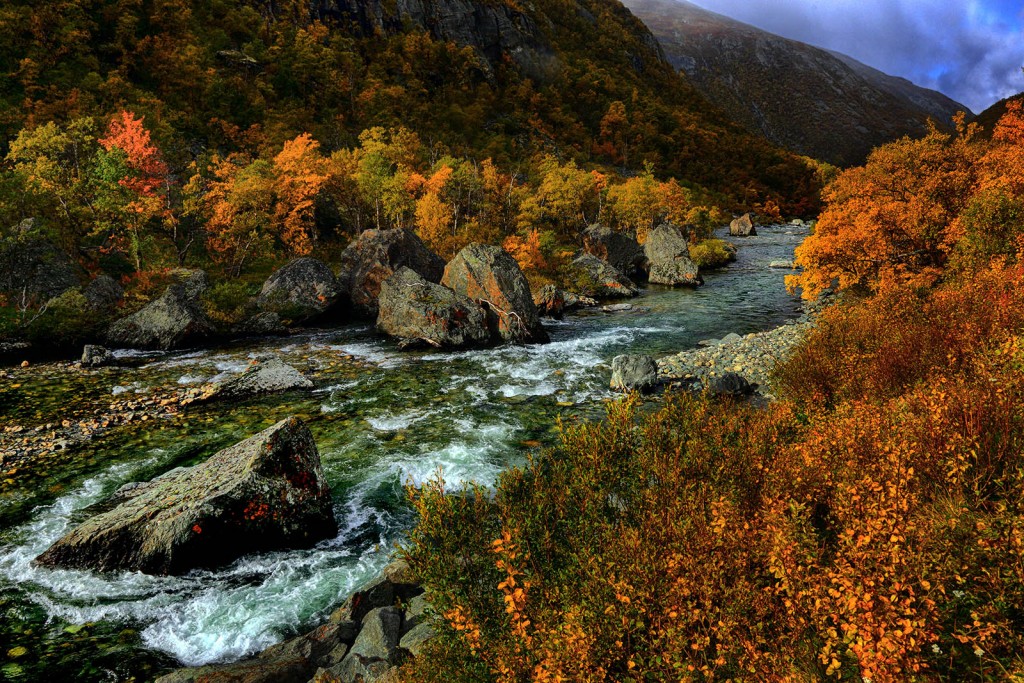  Norvegia in autunno.