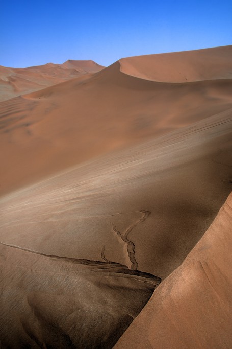  Namib Desert, Namibia.