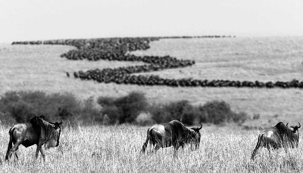  Il passaggio del Mara.