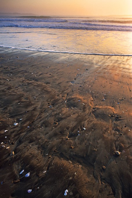  Skeleton Coast, Namibia.