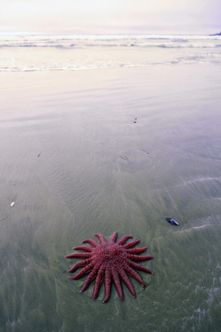  Vancouver Island, British Columbia, Canada.