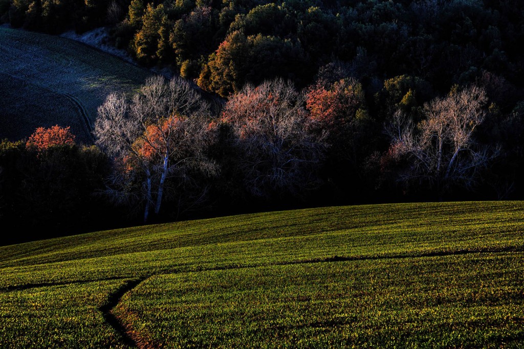  Campagna volterrana.