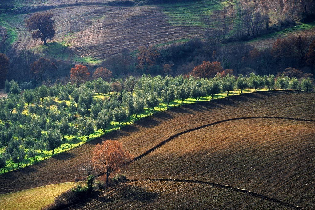  Maremma 1998.