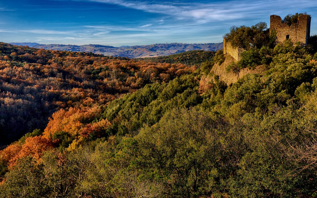  Foresta di Berignone.