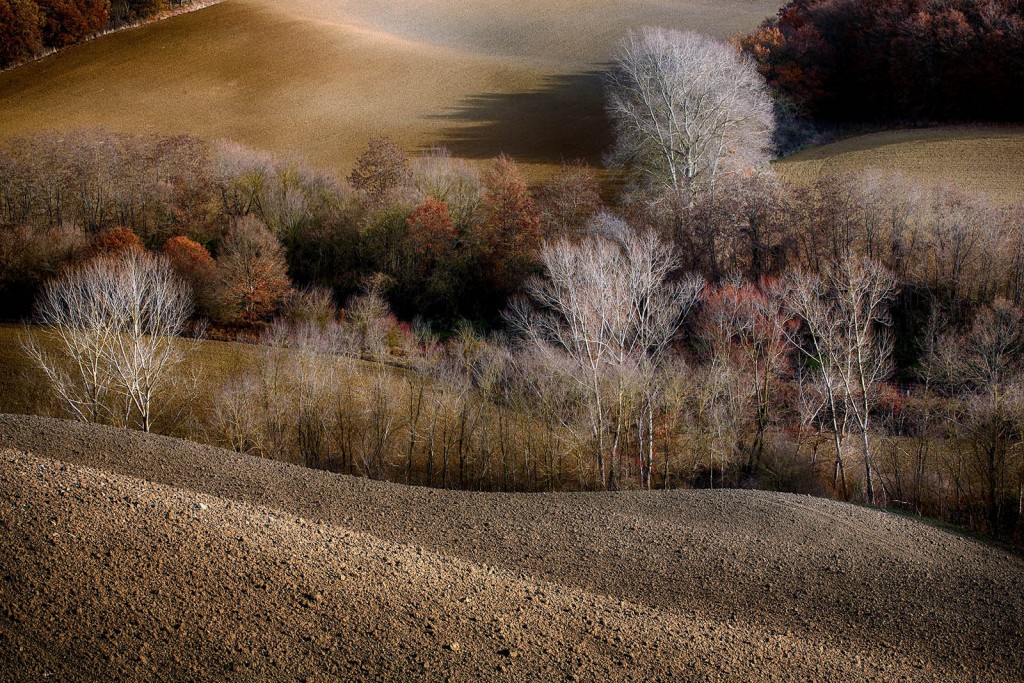  Crete senesi.