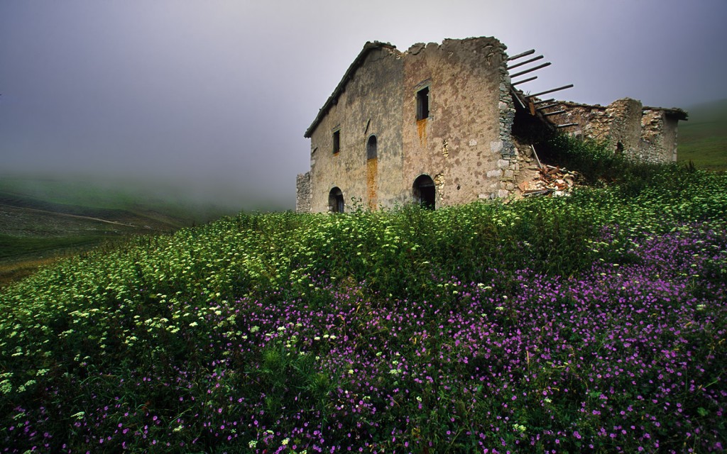  Pian Piccolo, Monti Sibillini. 1999.