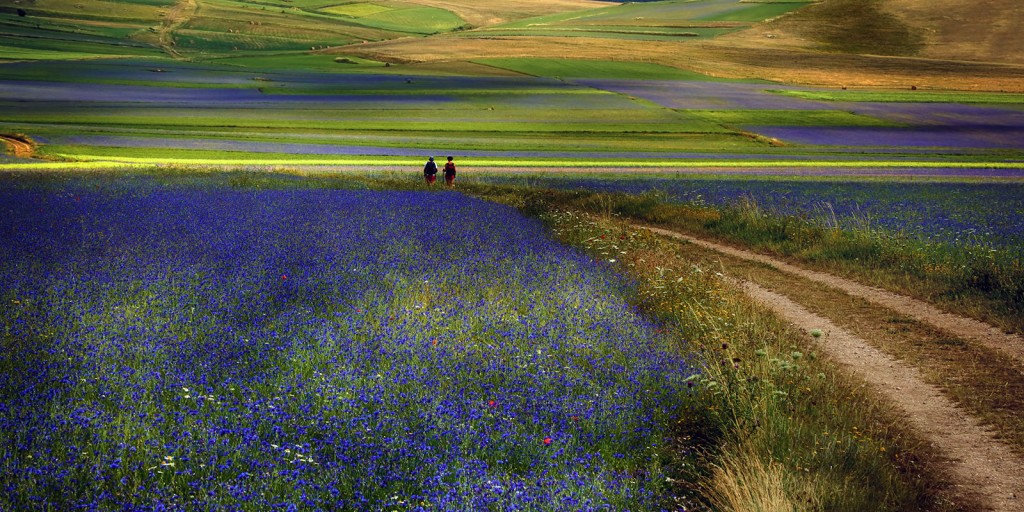  Pian Piccolo, Monti Sibillini.