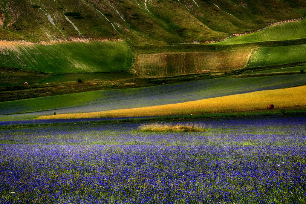  Pian Grande, Monti Sibillini.