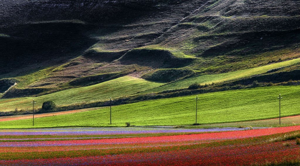  Pian Grande, Monti Sibillini.