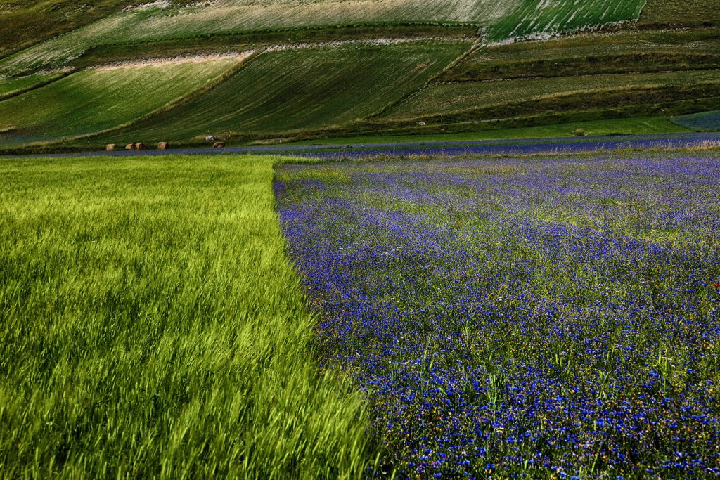  Pian Grande, Monti Sibillini.