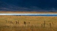 Pastori Masai, Tanzania.